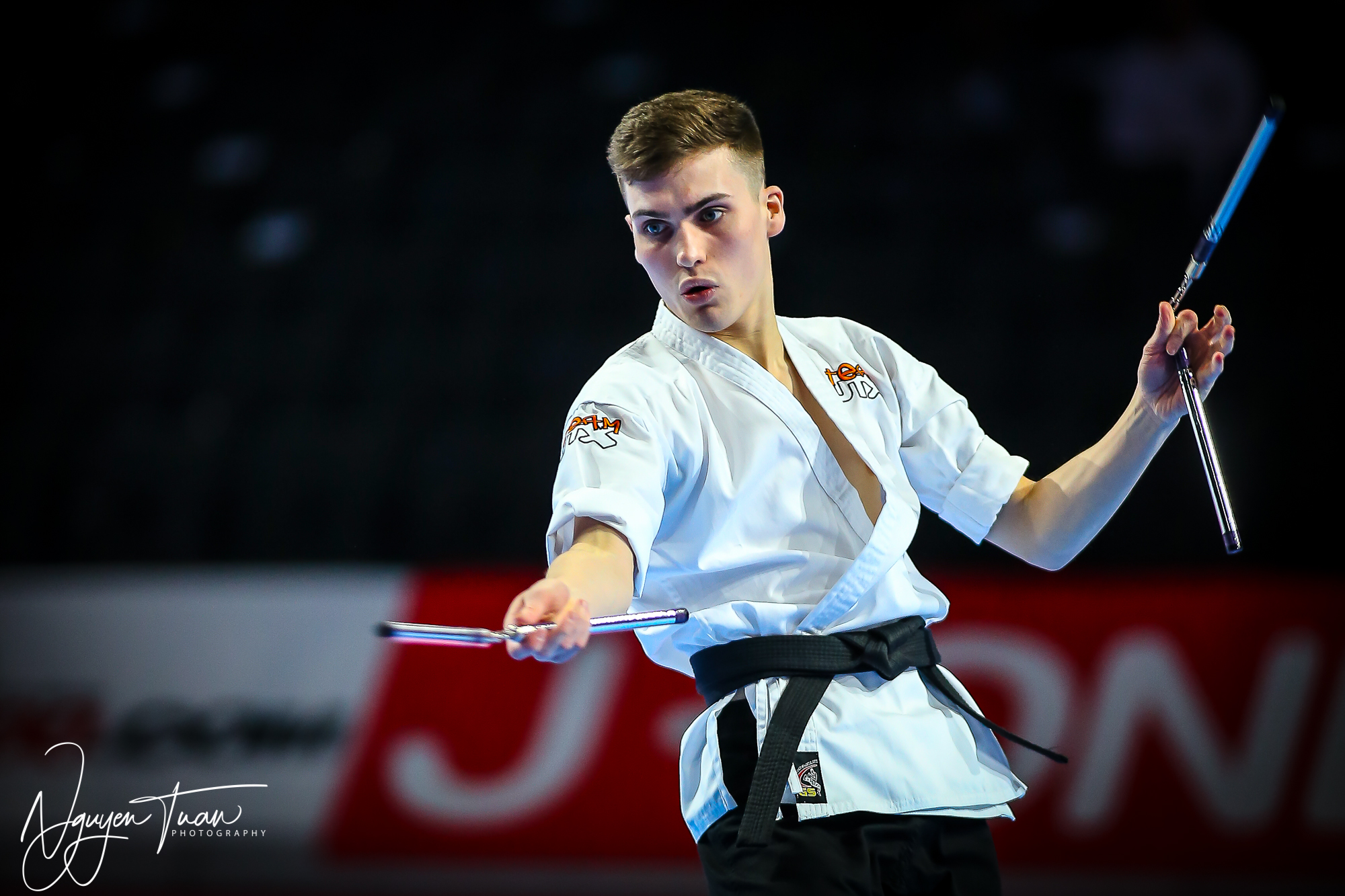 20190324 Festival des Arts Martiaux 0231